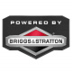 Briggs & Stratton